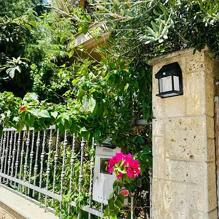 Avia سالونيك